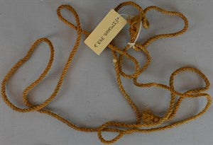 Image description is not available for FIM2015.343.2